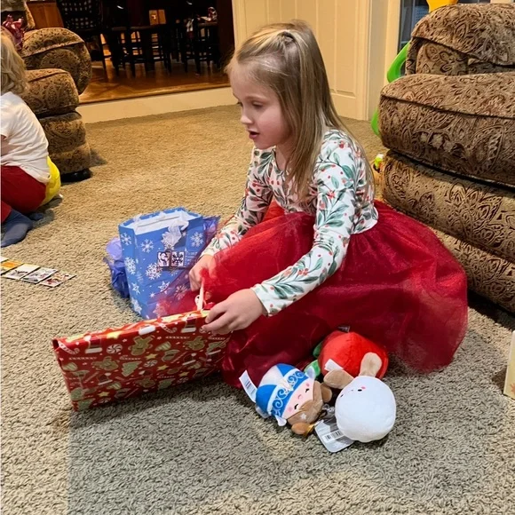 Festive Red Holly and Tulle Skirt Dress - Picture 4 of 6